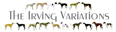The Irving Variations - logo